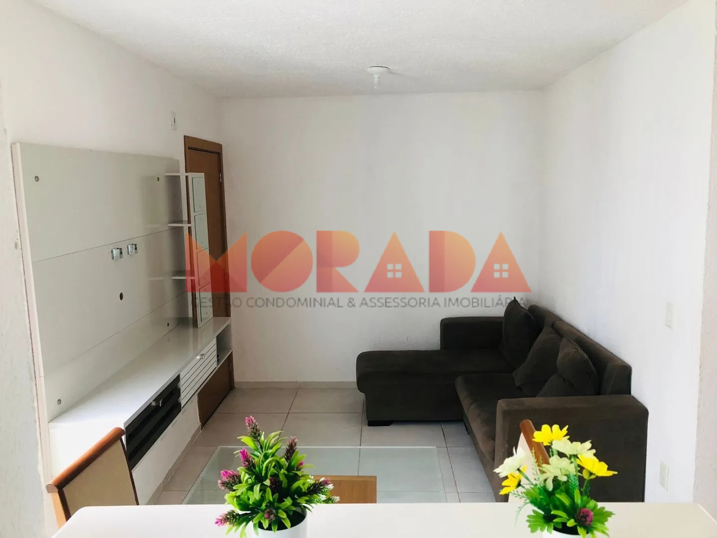 Apartamento à venda com 2 quartos, 45m² - Foto 3